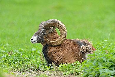 THQ十周年庆9月18日举行 将公开六款新作